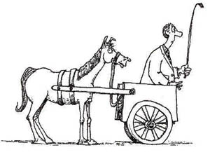 horse-cart.jpg
